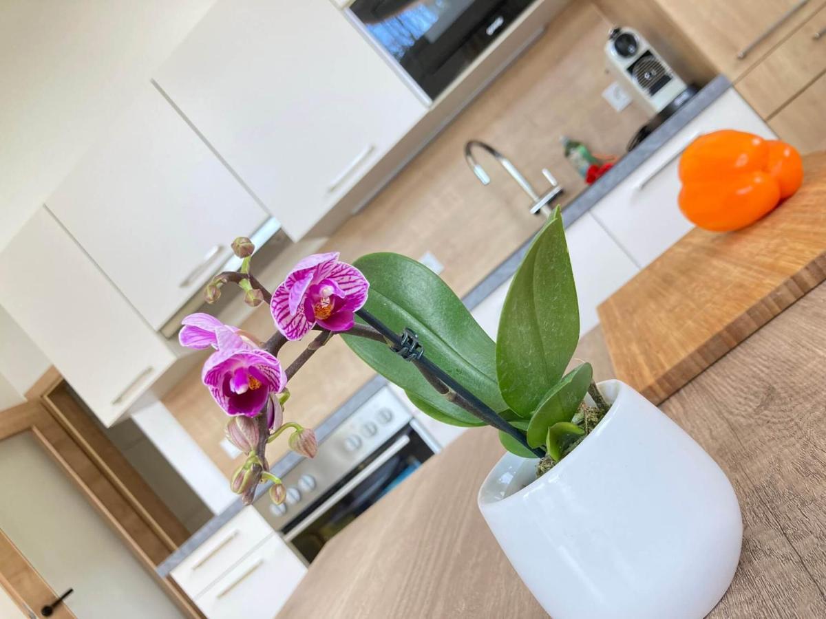 Appartements Blumenwiese Ramsau am Dachstein Ngoại thất bức ảnh
