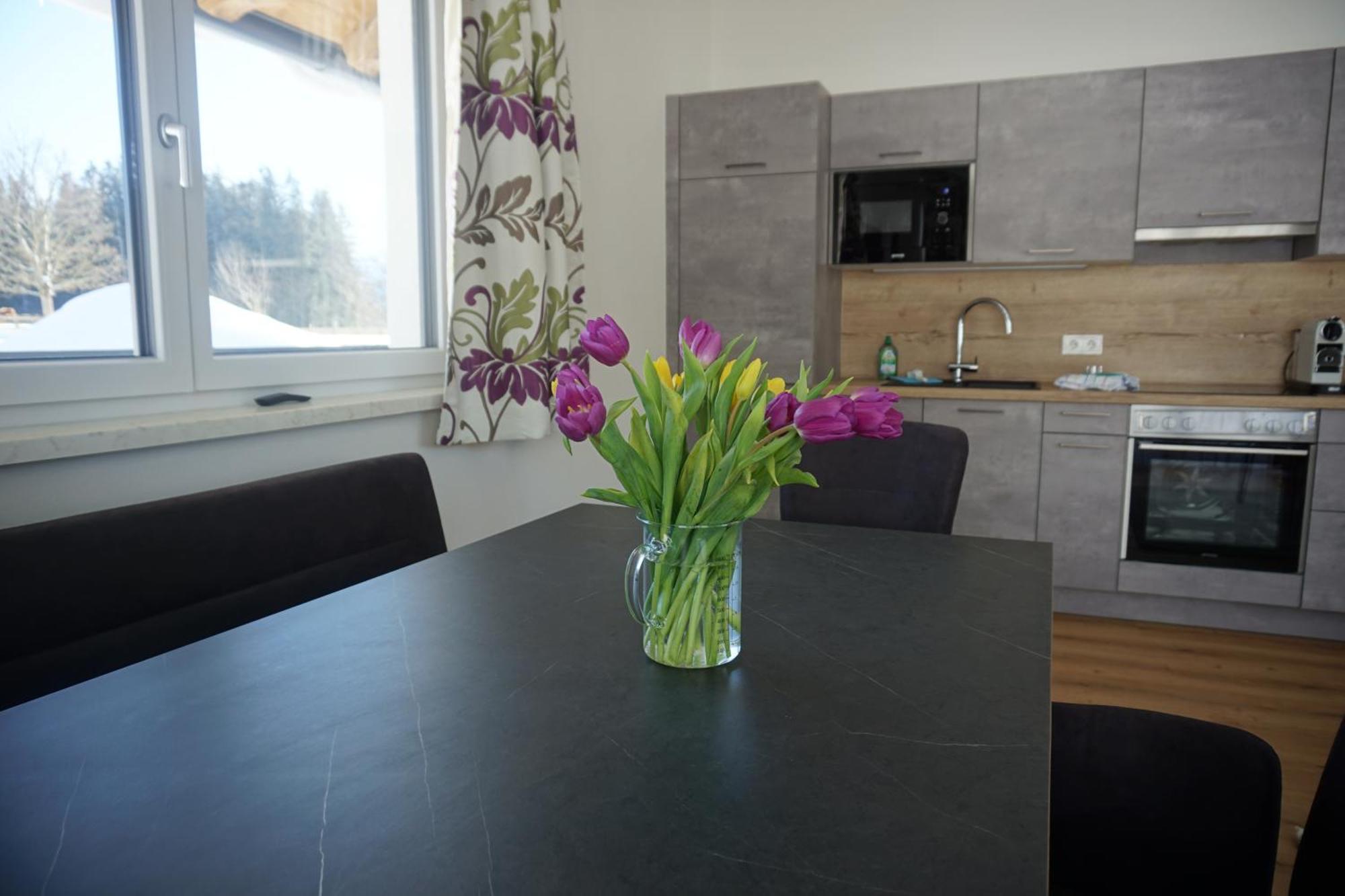 Appartements Blumenwiese Ramsau am Dachstein Ngoại thất bức ảnh